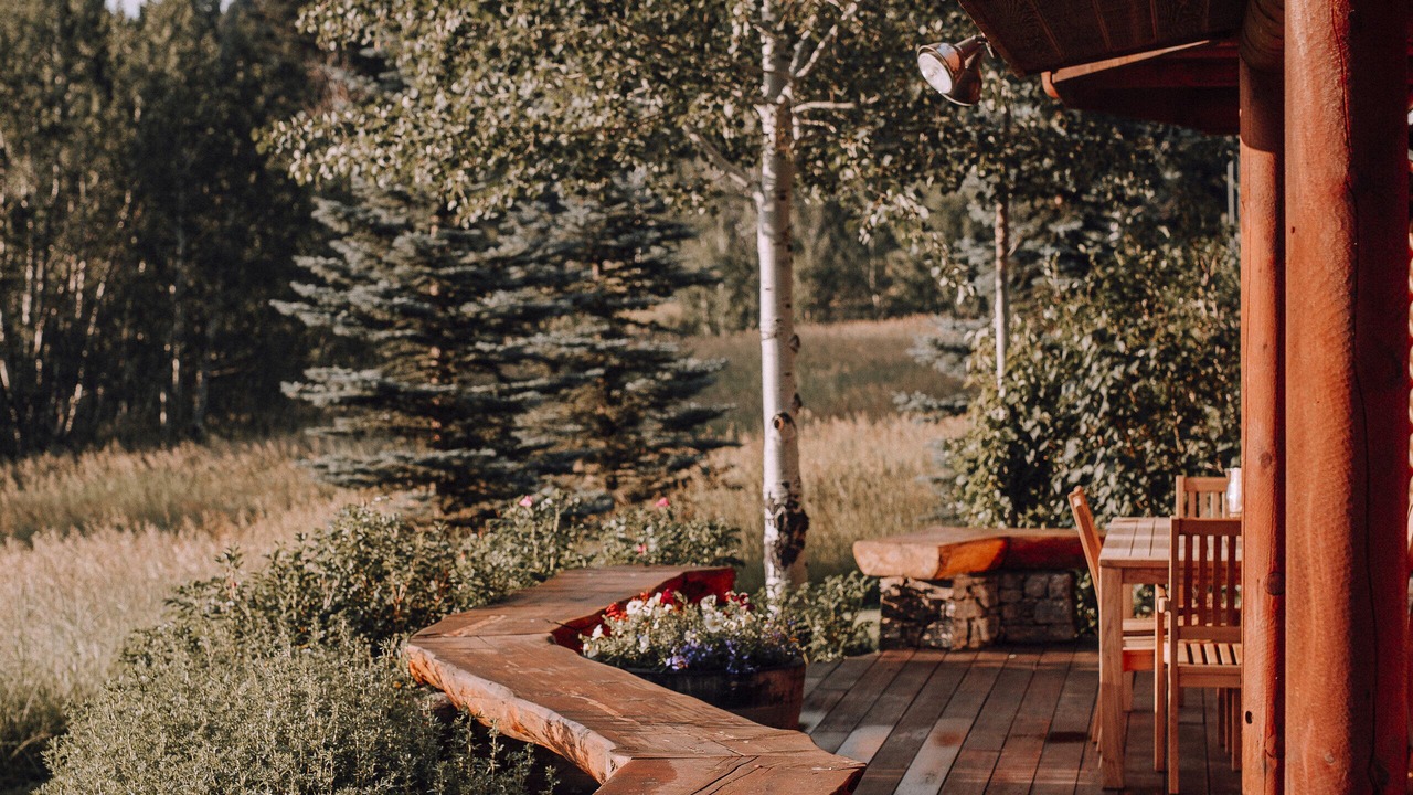 Photo of Others in McAllister