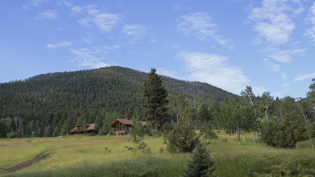 Photo of Others in McAllister