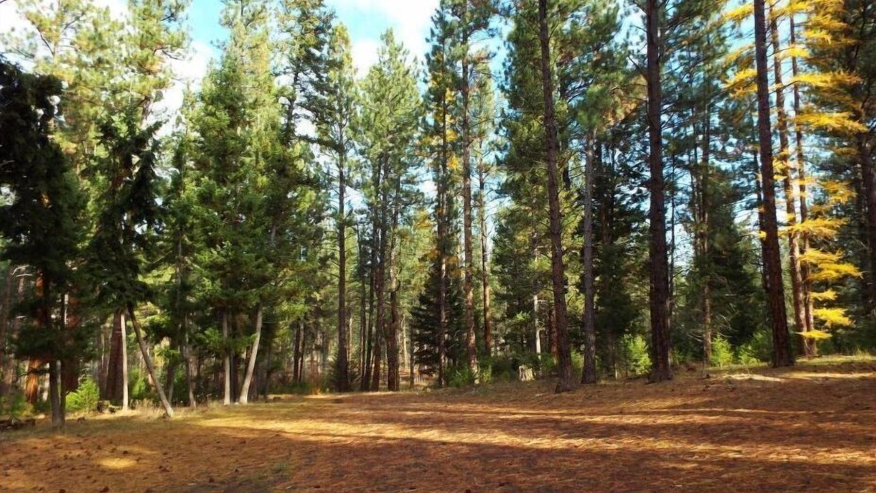 Photo of Outdoor in Greenough