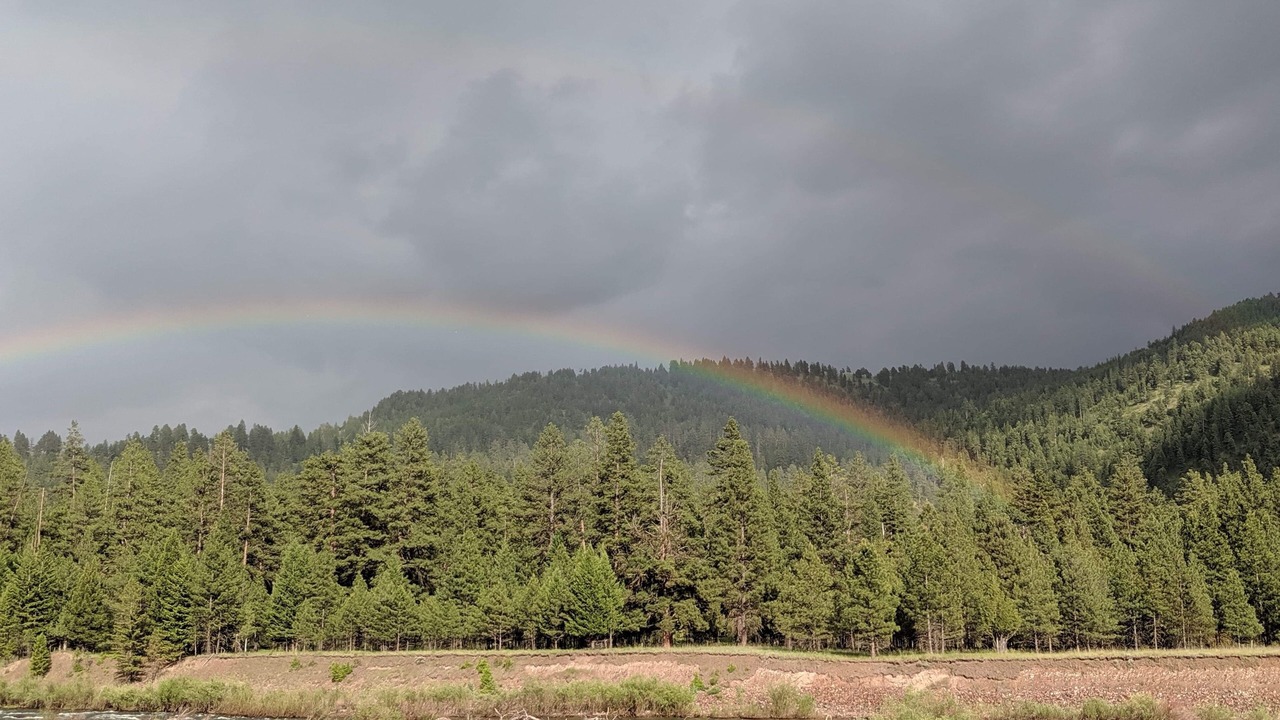 Photo of Others in Greenough