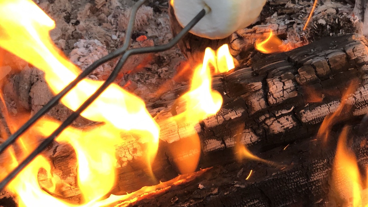 Photo of Others in Greenough