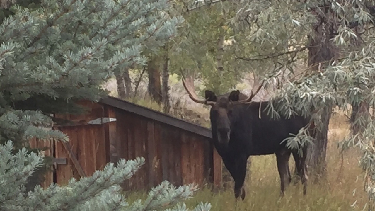 Photo of Outdoor in Twin Bridges