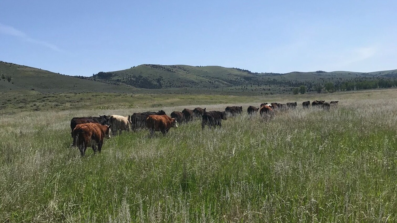 Photo of Outdoor in Drummond