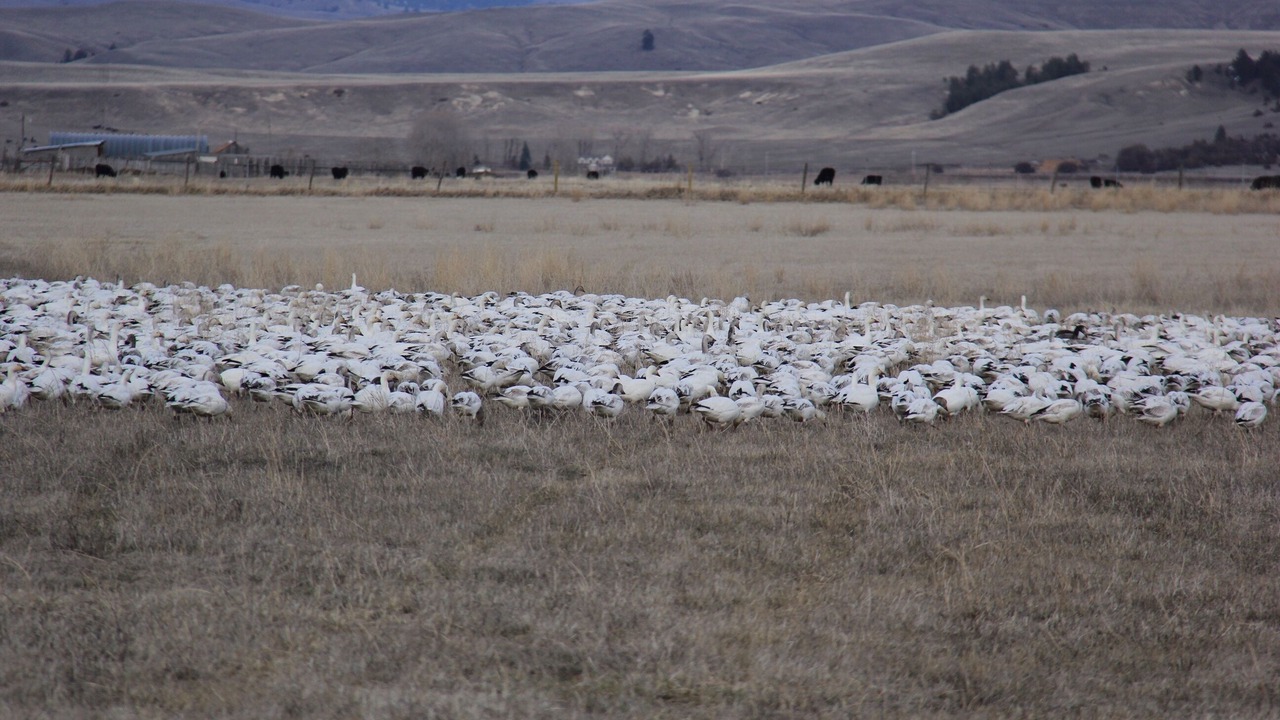 Photo of Others in Drummond