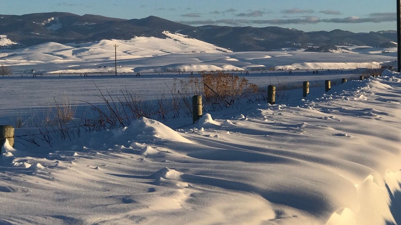 Photo of Others in Drummond