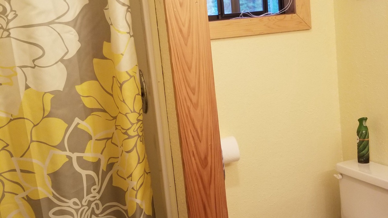Photo of Bathroom in Trout Creek