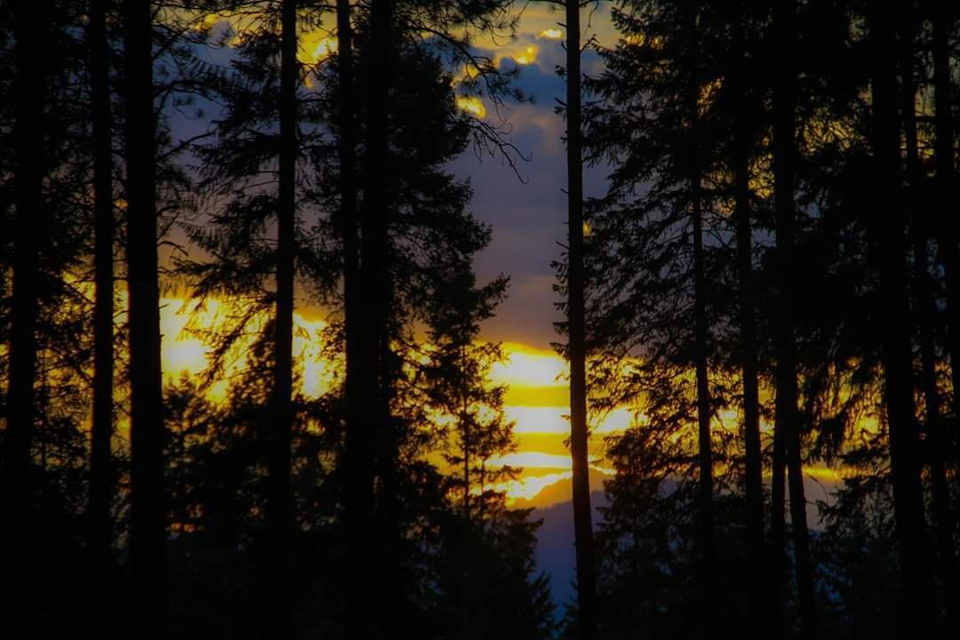 Photo of Others in Trout Creek