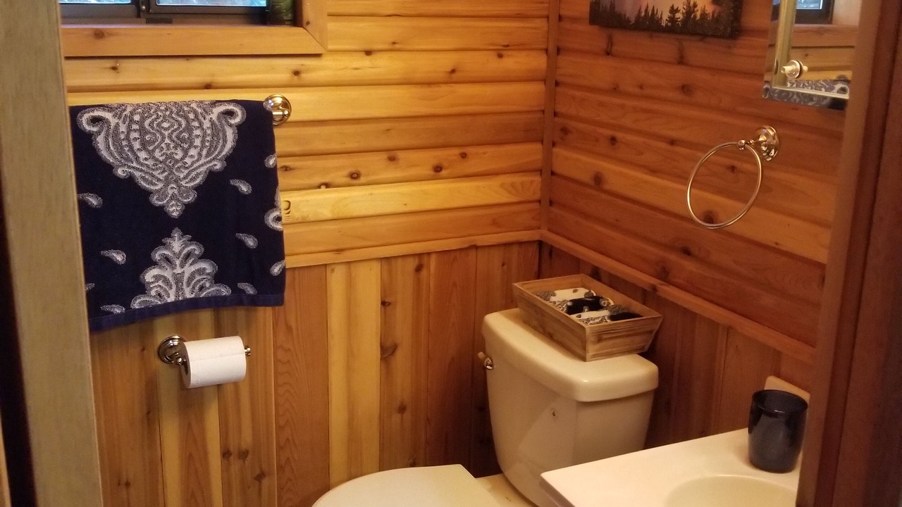 Photo of Bathroom in Trout Creek