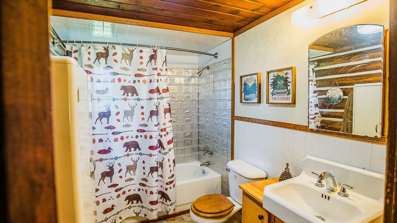Photo of Bathroom in Martin City