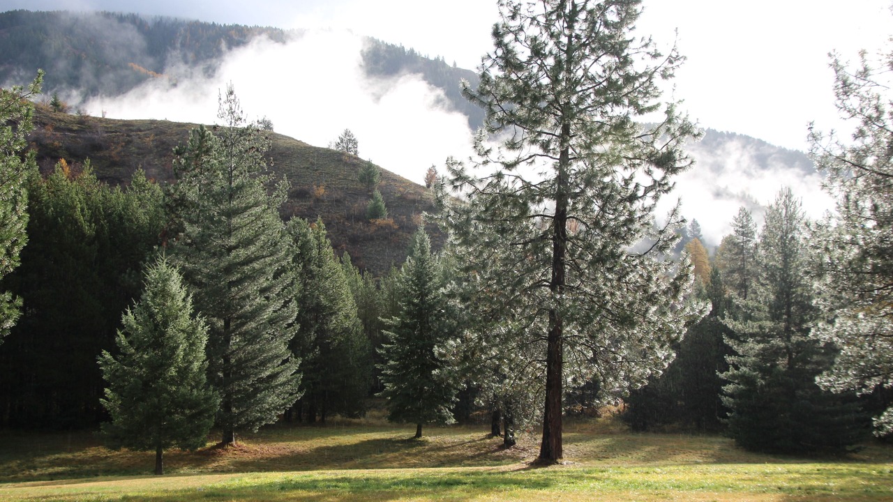 Photo of Others in Trout Creek