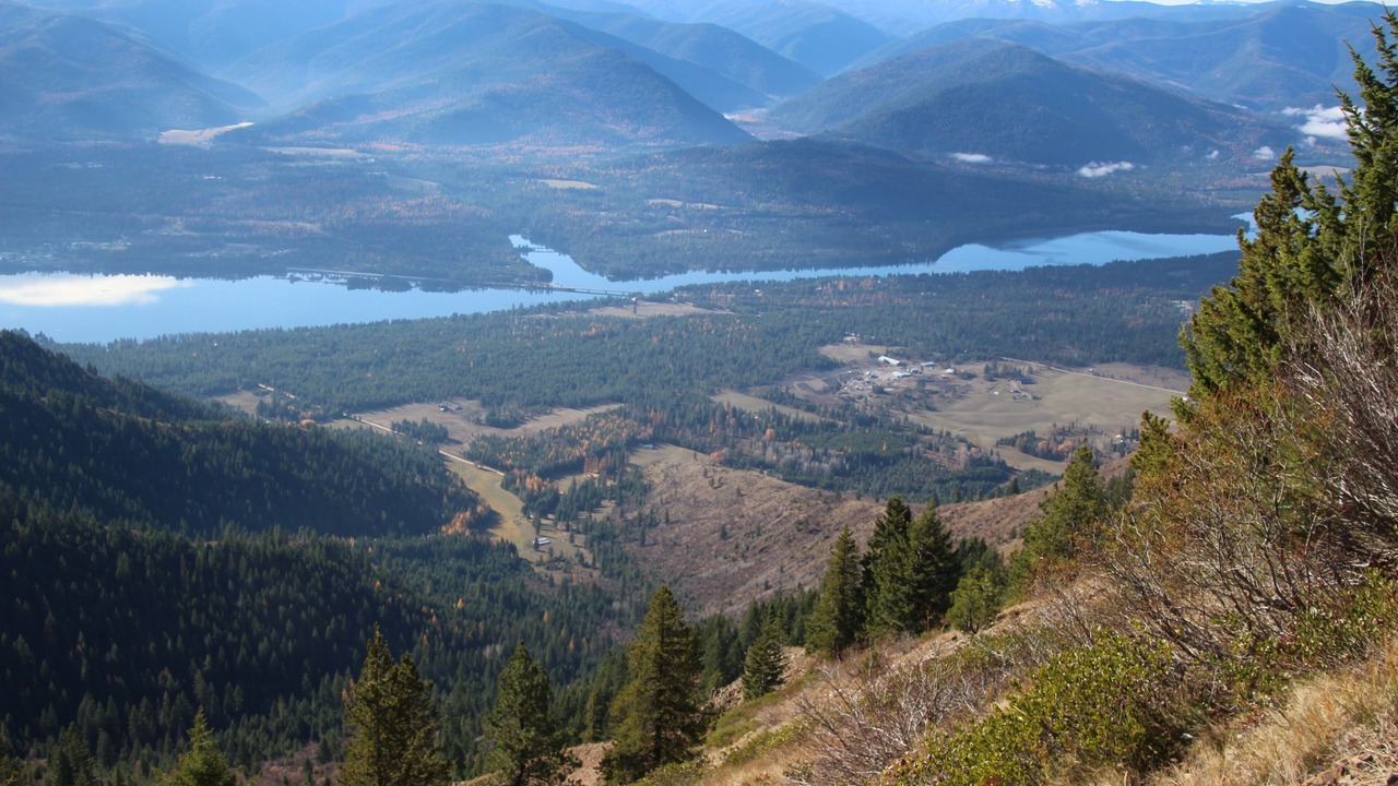 Photo of Others in Trout Creek