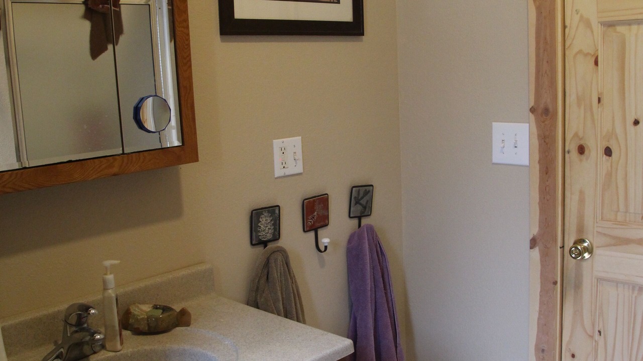 Photo of Bathroom in Trout Creek