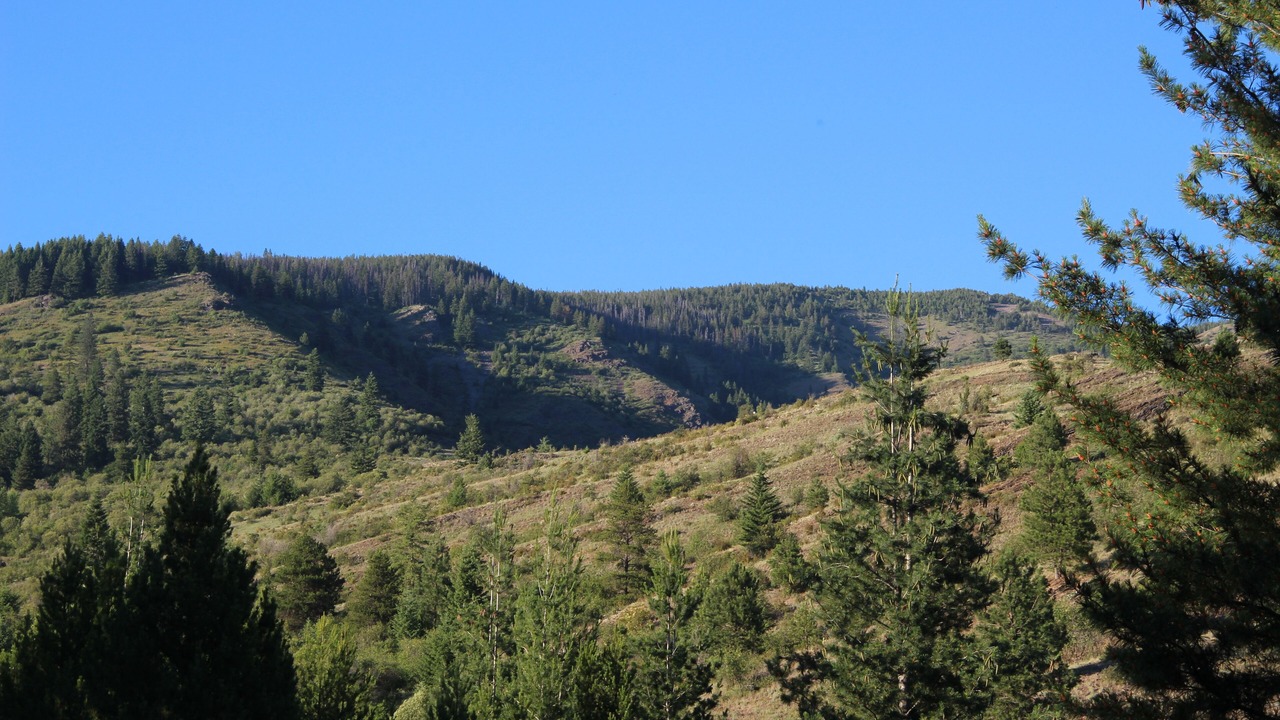 Photo of Others in Trout Creek