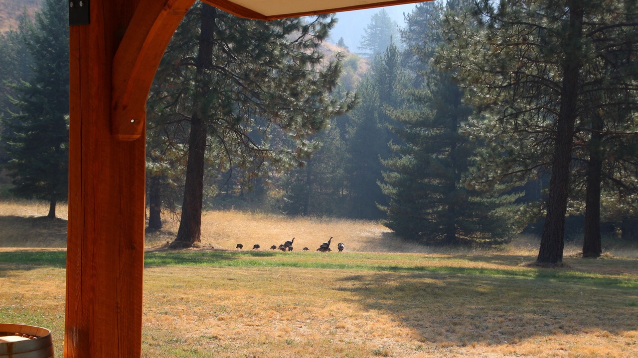 Photo of Others in Trout Creek