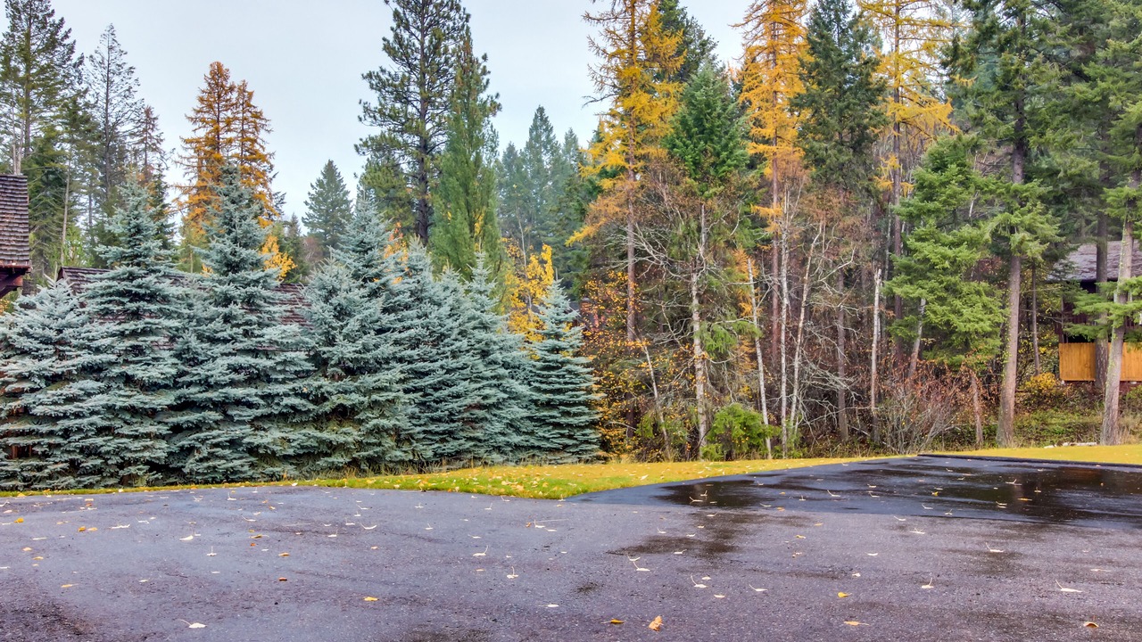 Photo of Outdoor in Whitefish