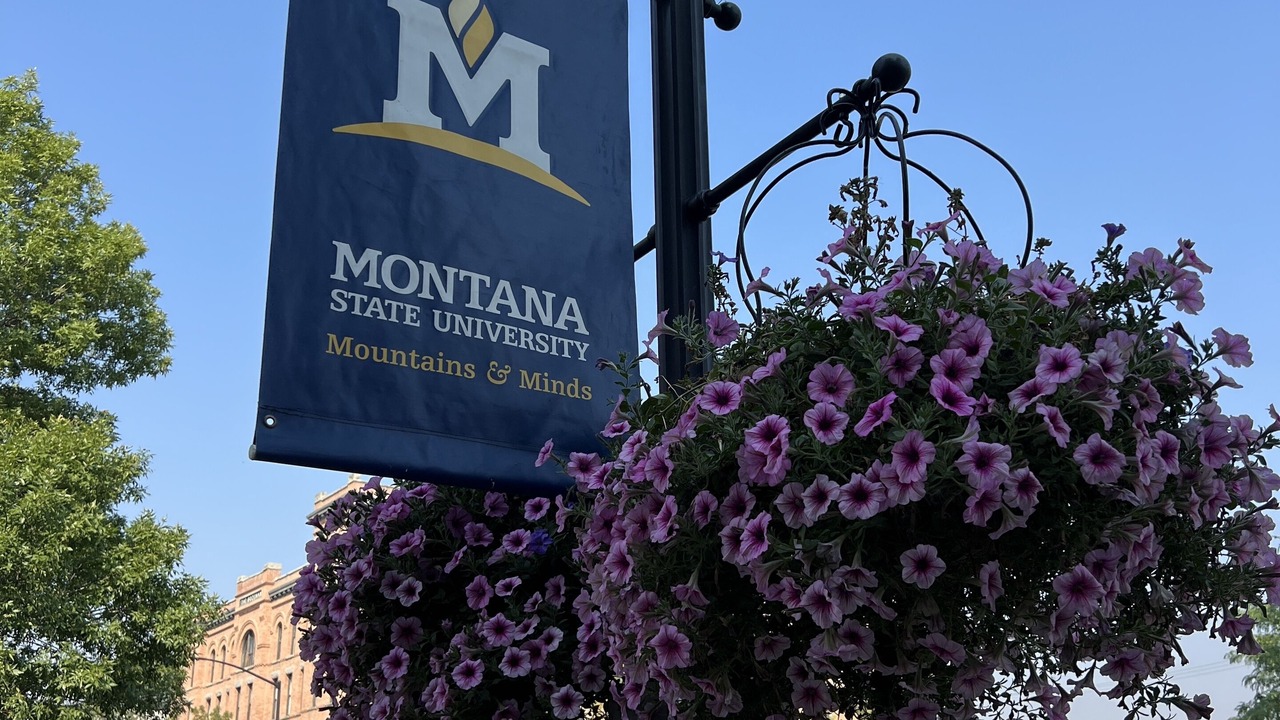 Photo of Others in Bozeman