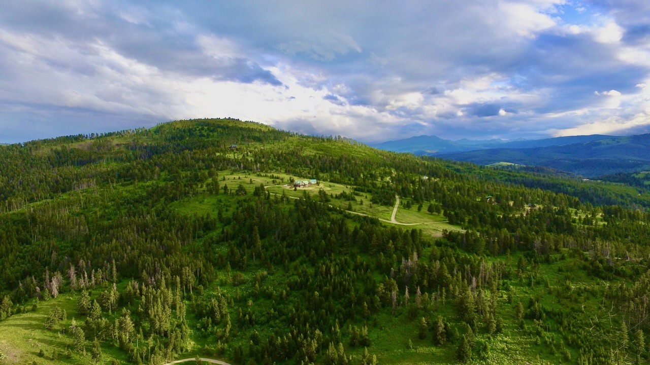 Photo of Others in Bozeman