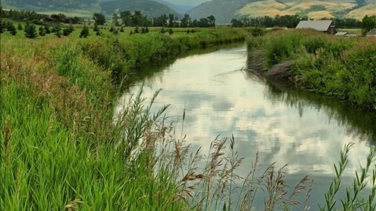 Photo of Others in Bozeman