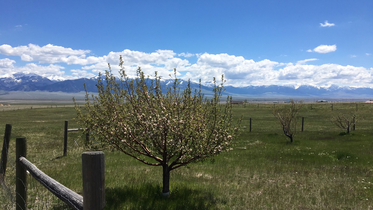 Photo of Others in Virginia City Ranches