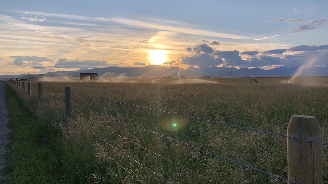 Photo of Outdoor in Dillon