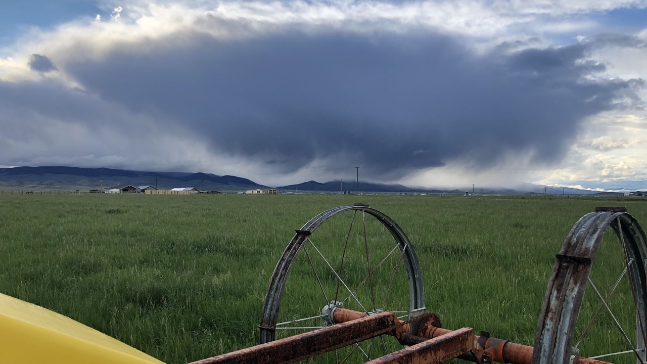 Photo of Others in Dillon