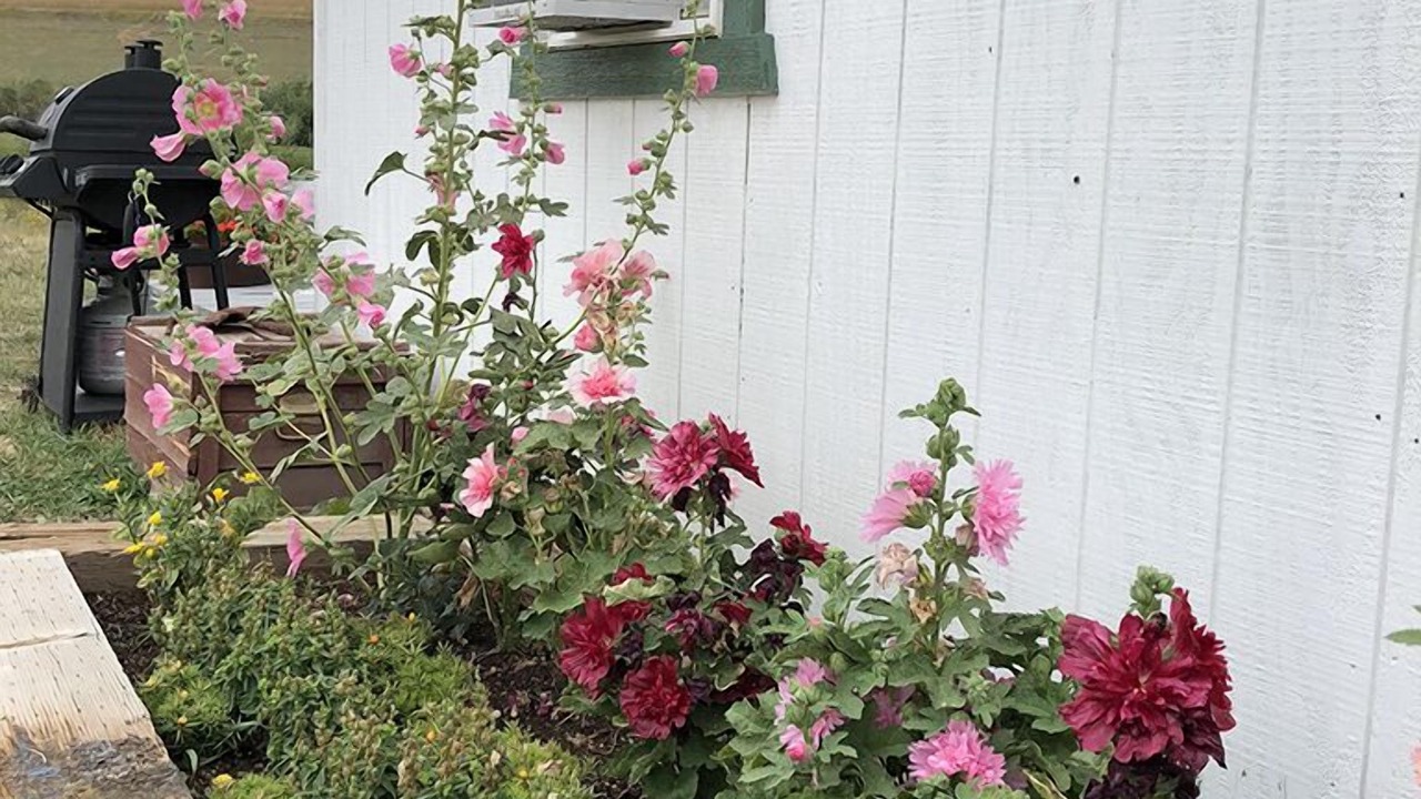 Photo of Outdoor in Red Lodge