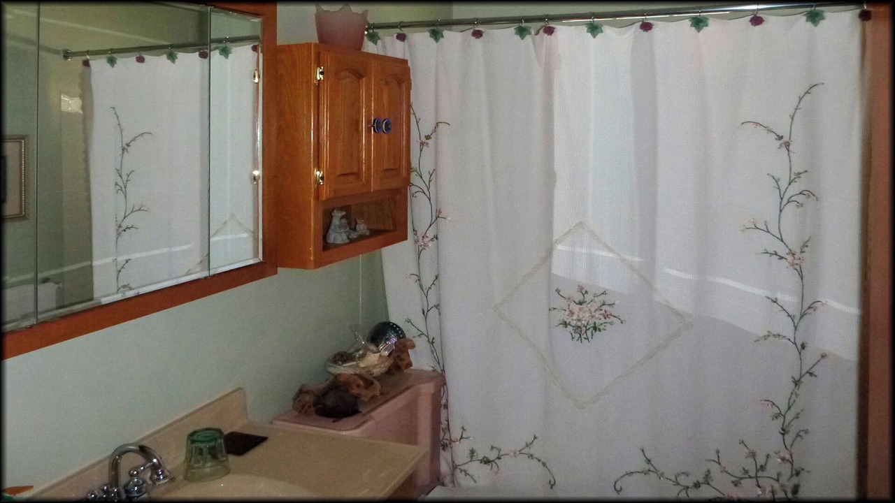 Photo of Bathroom in Lewistown