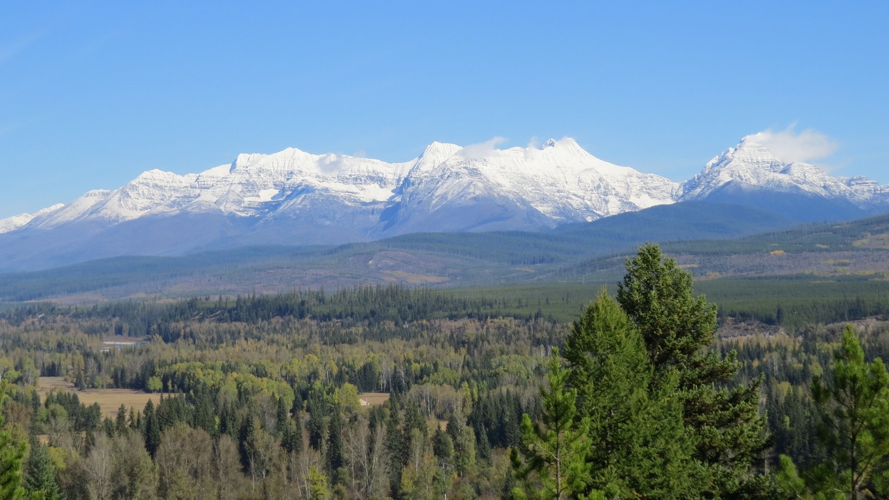 Photo of Others in Polebridge