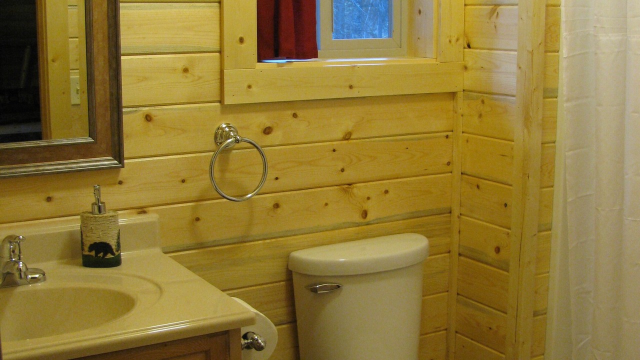 Photo of Bathroom in Polebridge