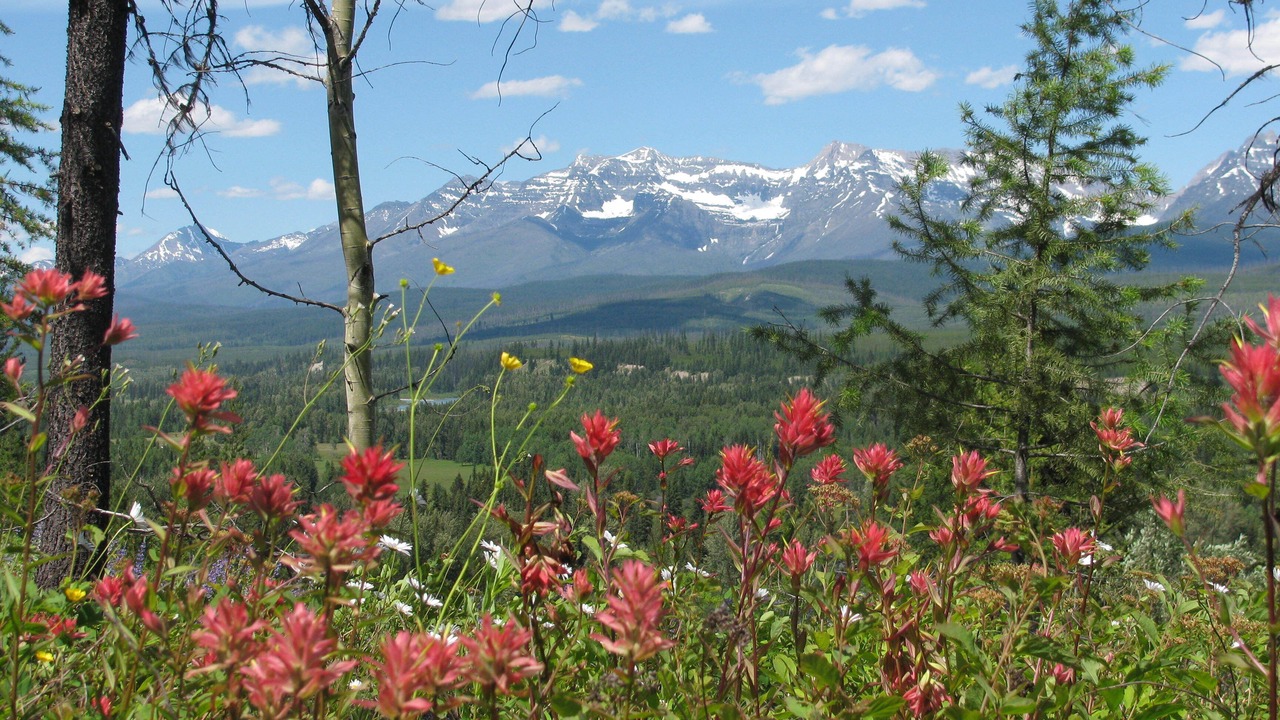 Photo of Others in Polebridge