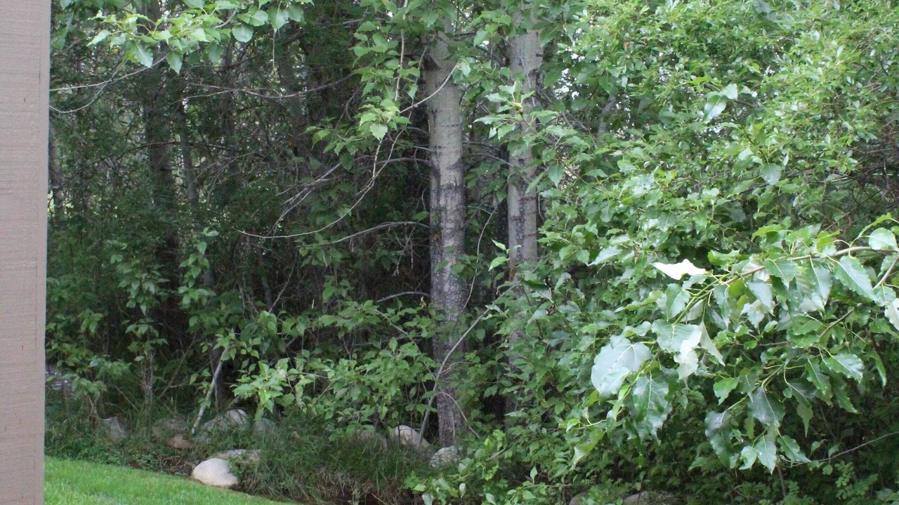 Photo of Others in Red Lodge
