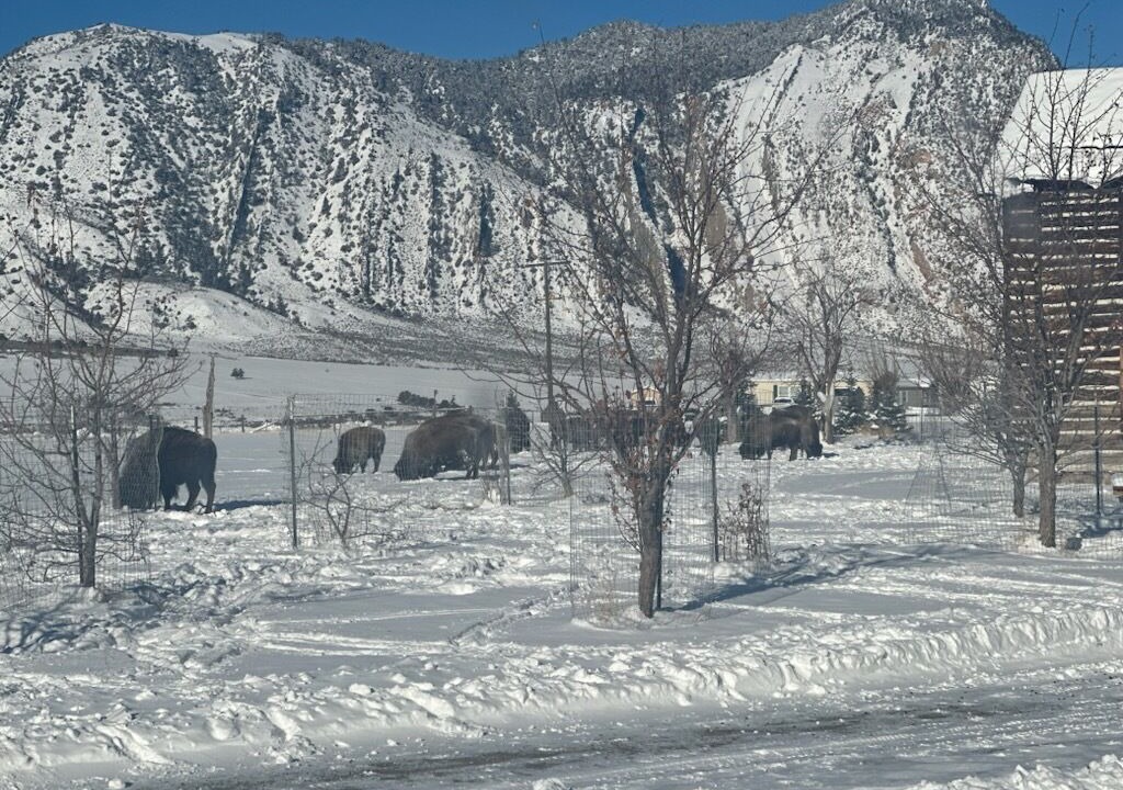 Photo of Outdoor in Gardiner