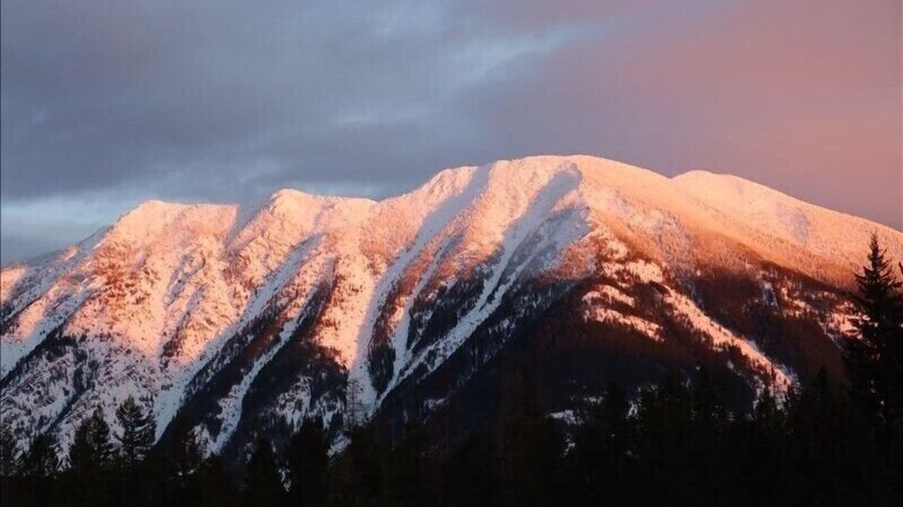 Photo of Others in West Glacier