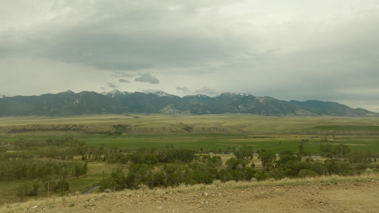 Photo of Others in Silver Star