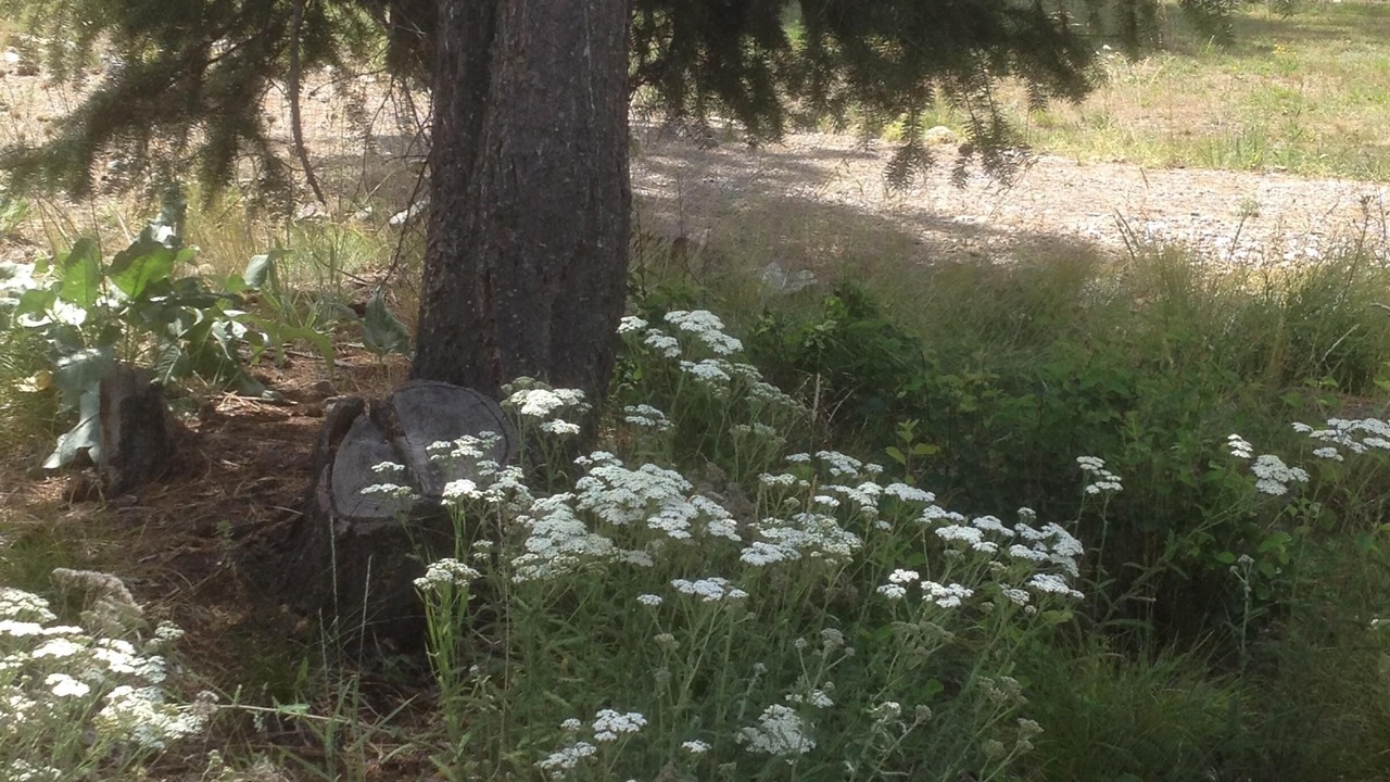 Photo of Outdoor in Superior