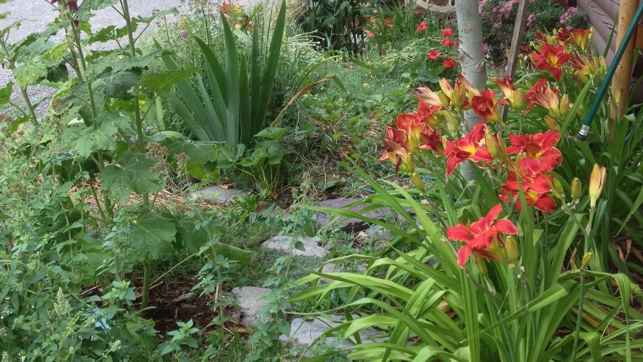 Photo of Outdoor in Superior