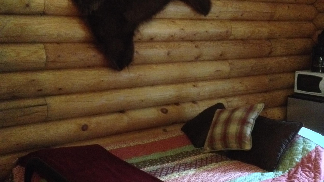 Photo of Others in Superior