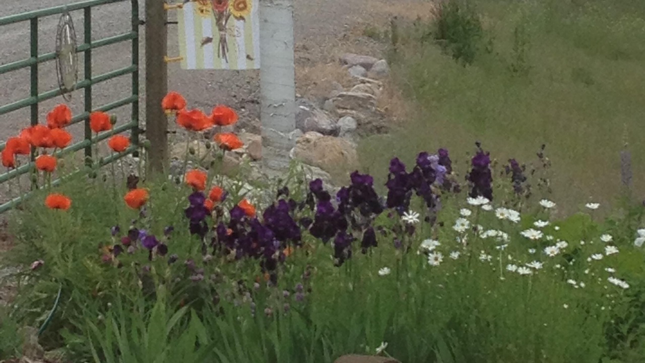 Photo of Outdoor in Superior