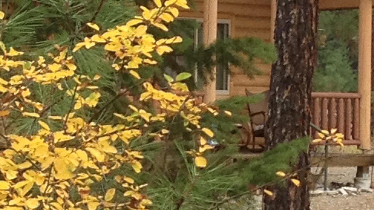 Photo of Outdoor in Superior