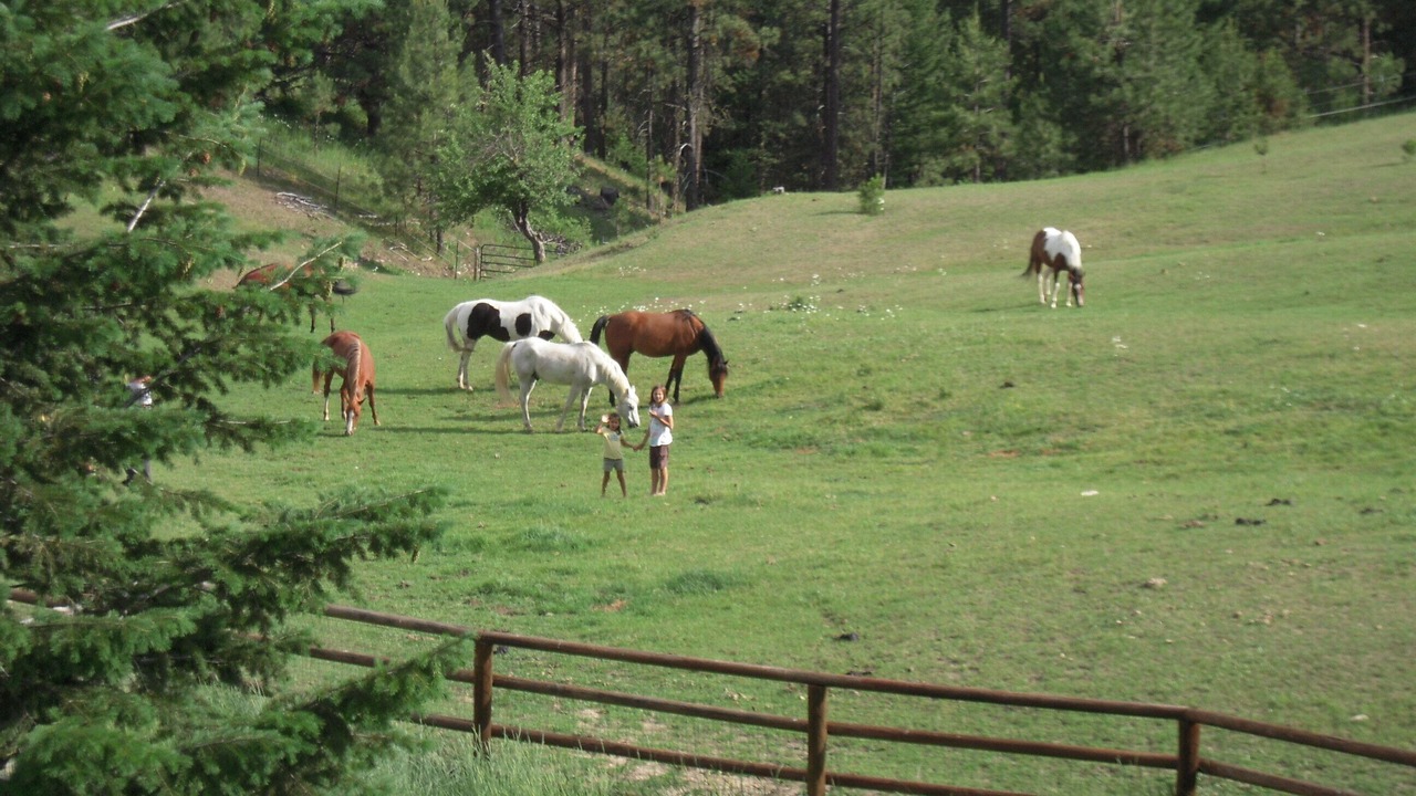 Photo of Outdoor in Darby