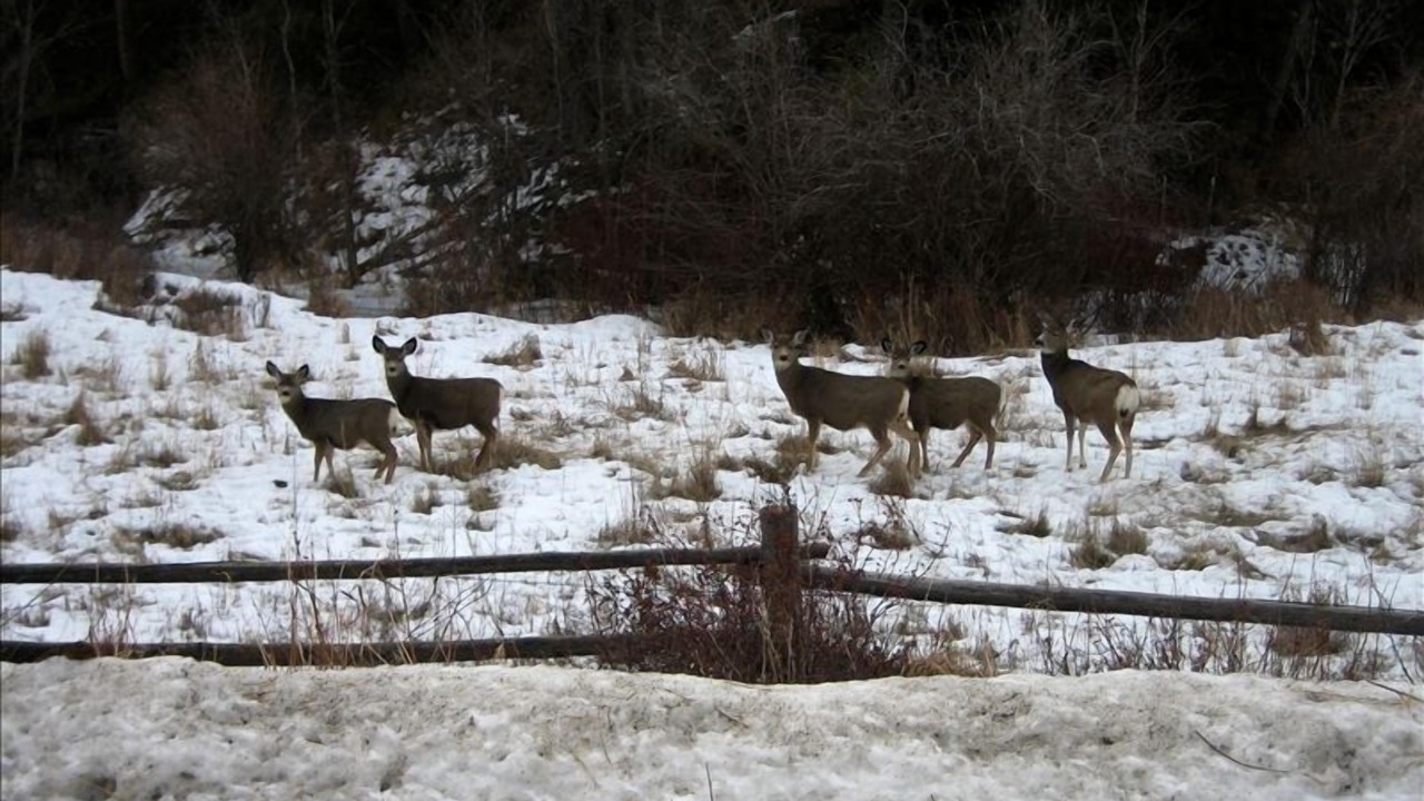 Photo of Others in Gardiner