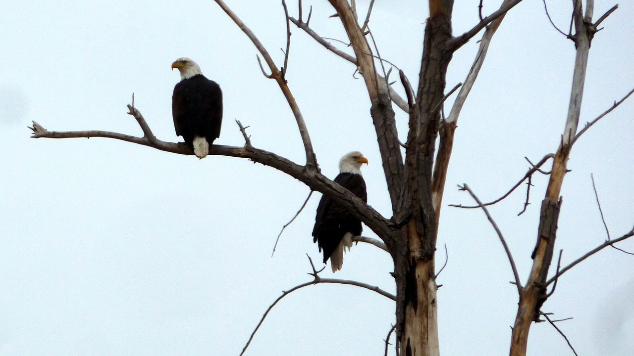 Photo of Others in Red Lodge