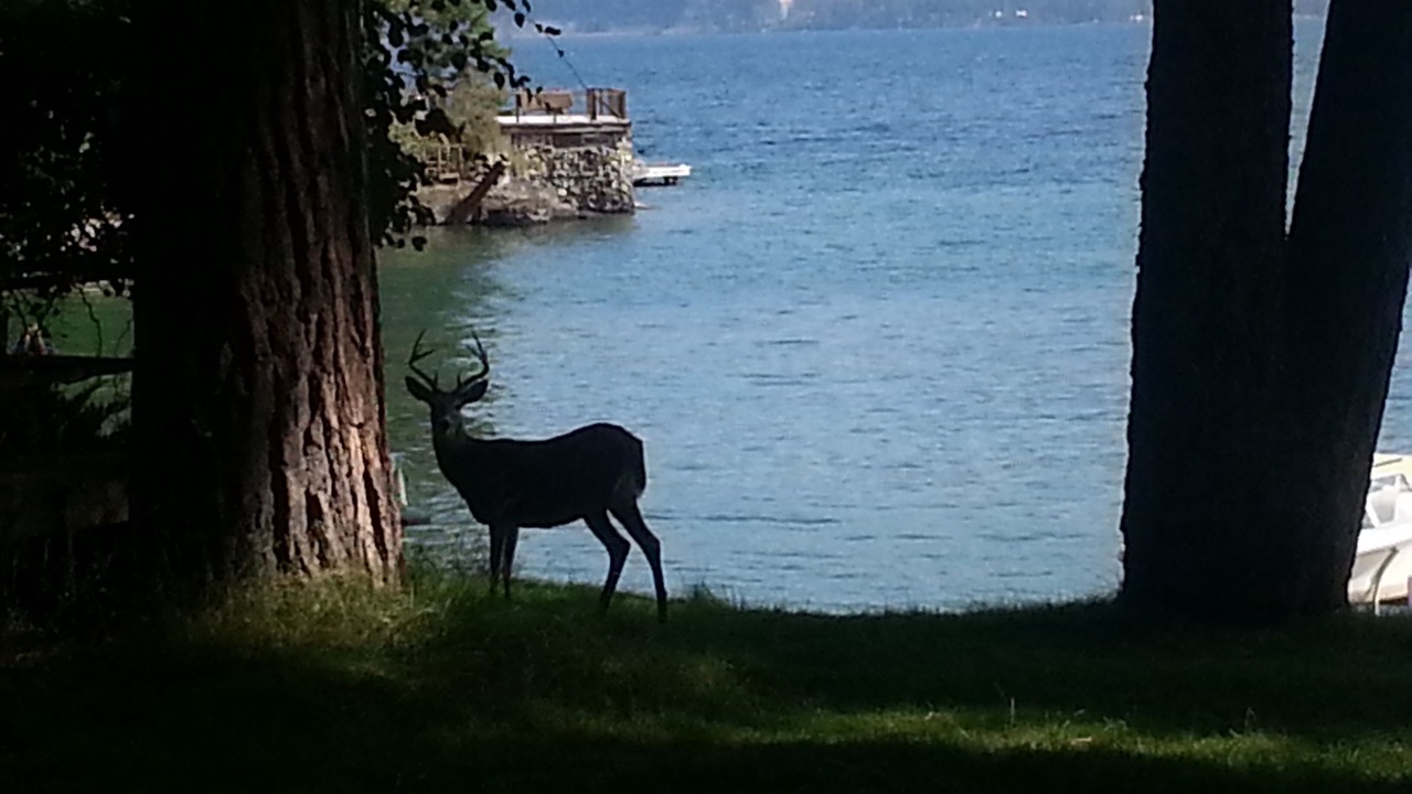 Photo of Others in Finley Point