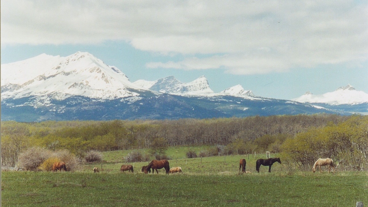 Photo of Others in Babb