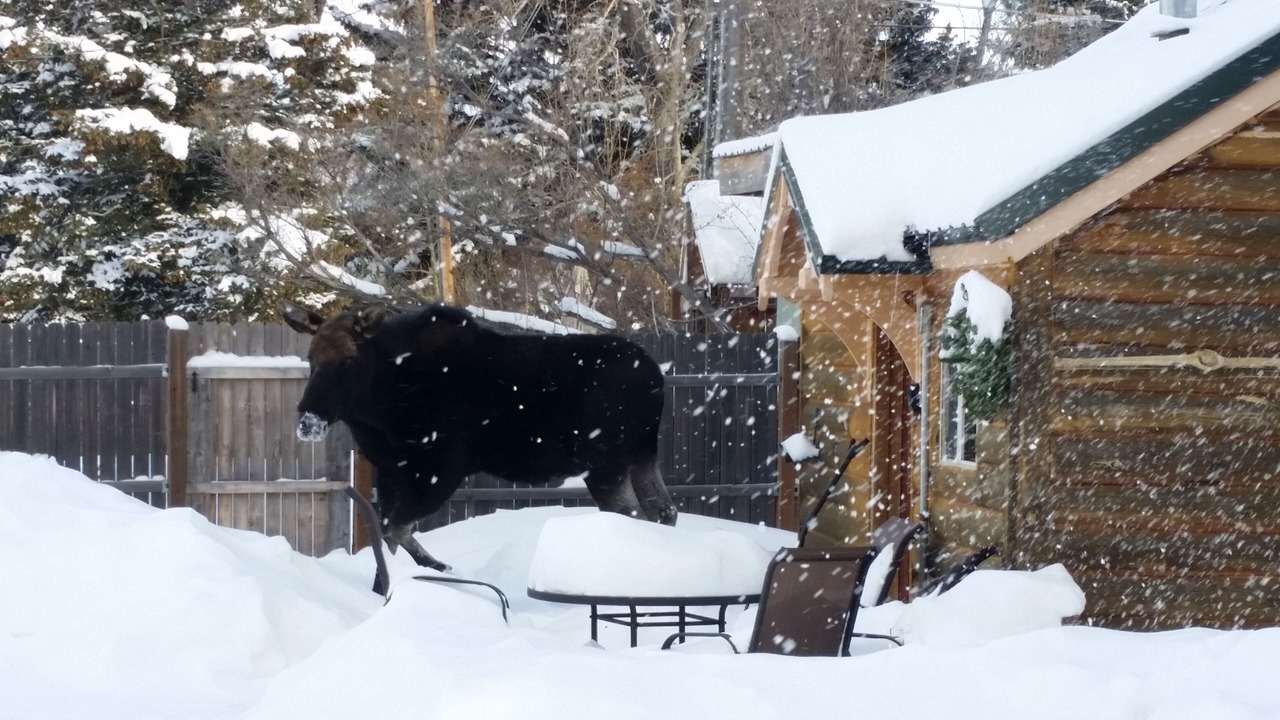 Photo of Others in Red Lodge