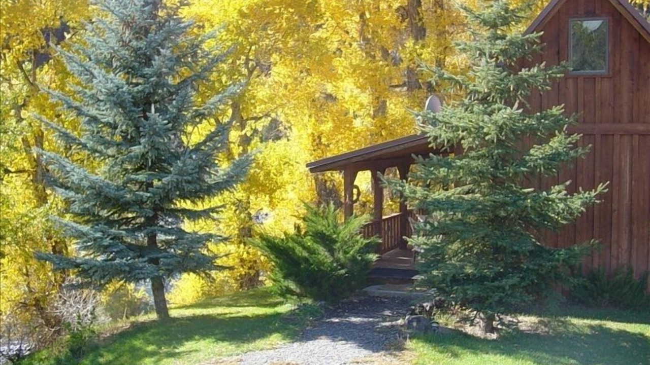 Photo of Others in Gardiner