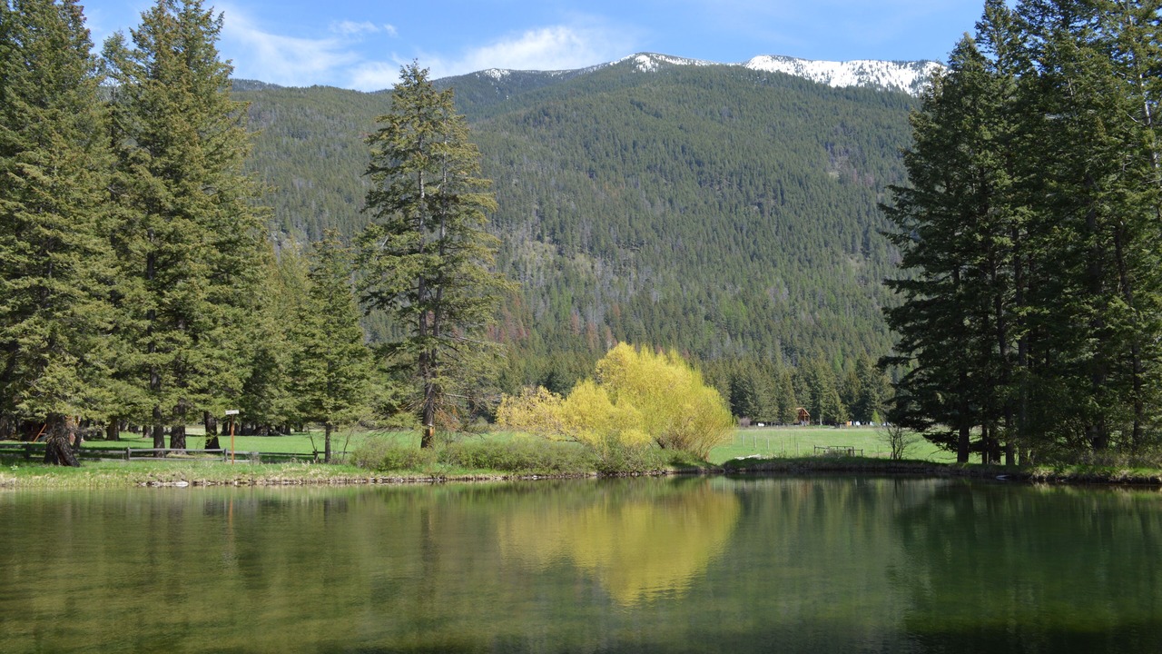 Photo of Others in Columbia Falls
