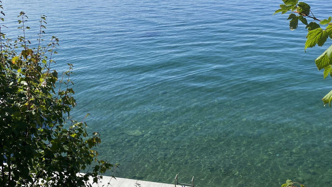 Photo of Others in Finley Point