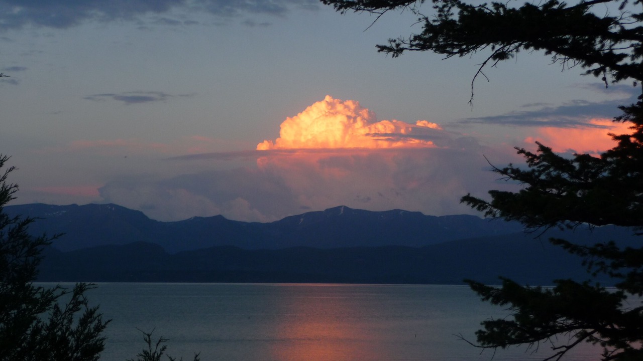 Photo of Outdoor in Angel Point