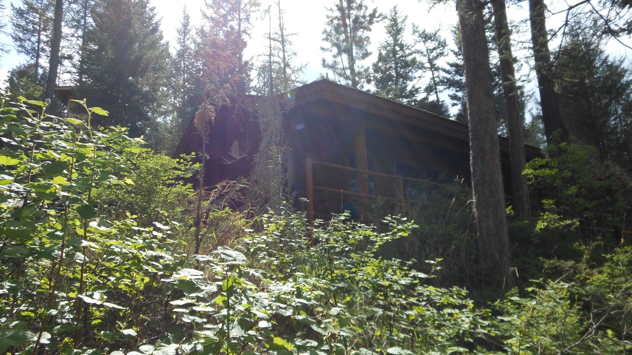 Photo of Outdoor in Angel Point